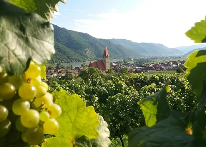 Ferienhaus Ottenschlag Holiday home Ottenschlag