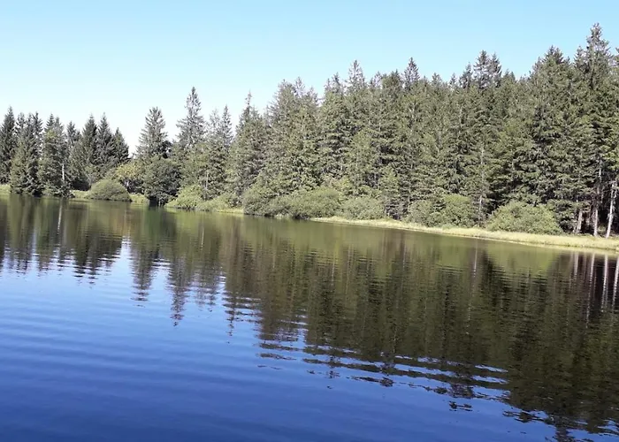 Ferienhaus Ottenschlag Holiday home *